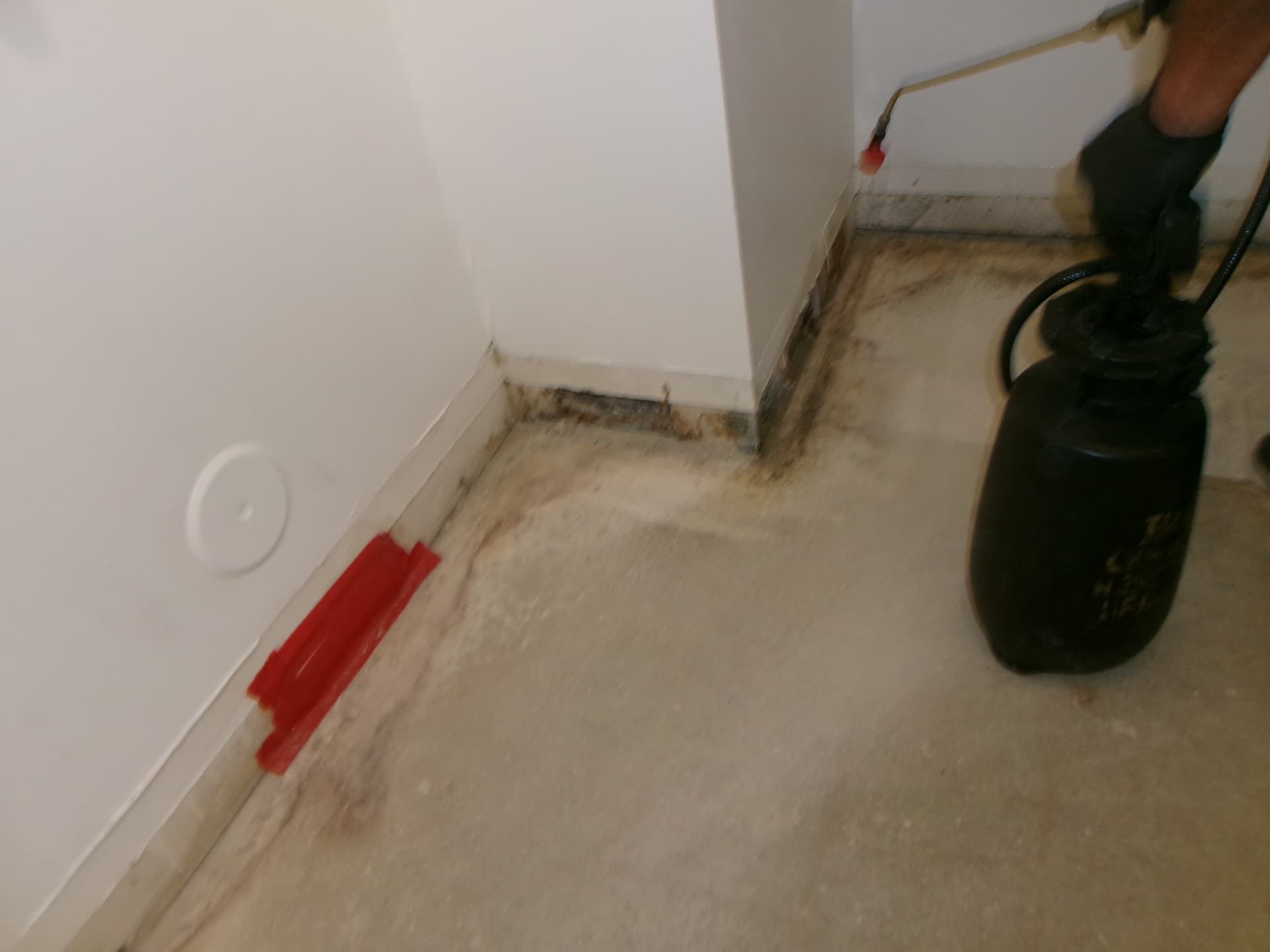Water extraction treatment along the edge of a damaged floor
