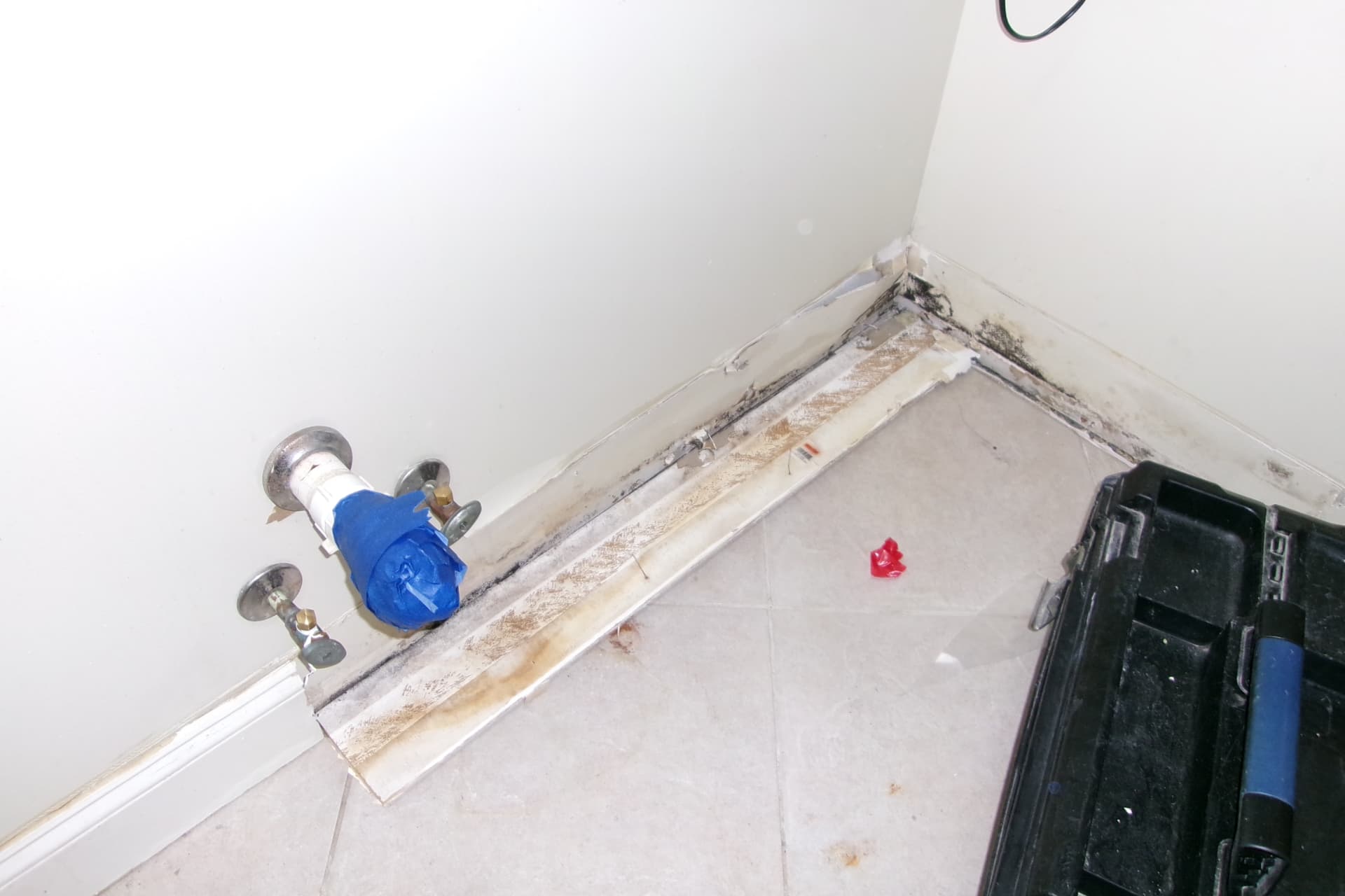 Mold damage along a bathroom baseboard and wall corner during inspection