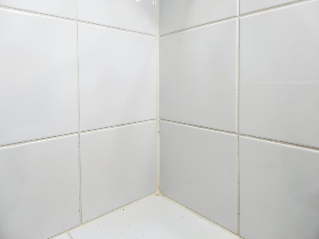 Same bathroom shower corner clean and rebuilt after mold remediation
